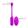 Lechies Huevo Vibrador con Control Remoto USB