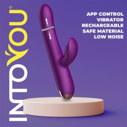 Sendel Vibrador con Anillo de Bolas Internas Up and Down y Pulsación con App