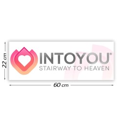 Cartel Promocional Intoyou...