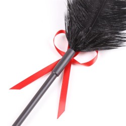 Plumas y Pala 2 en 1 36 cm Negro/Rojo