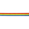 Banda Colores Bandera LGBT+