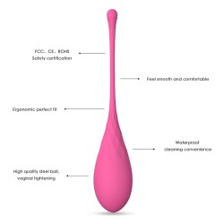 Set 6 Bolas Kegel Femmefit