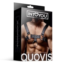 Quovis Arnés Masculino para Bondage Cuero Vegano