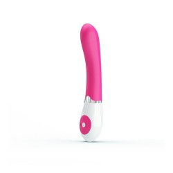 Vibrador Daniel con Control...