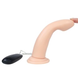 Vibrador Control Remoto Robin 17.6 cm